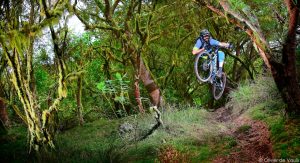 outdoor mtb trail photography